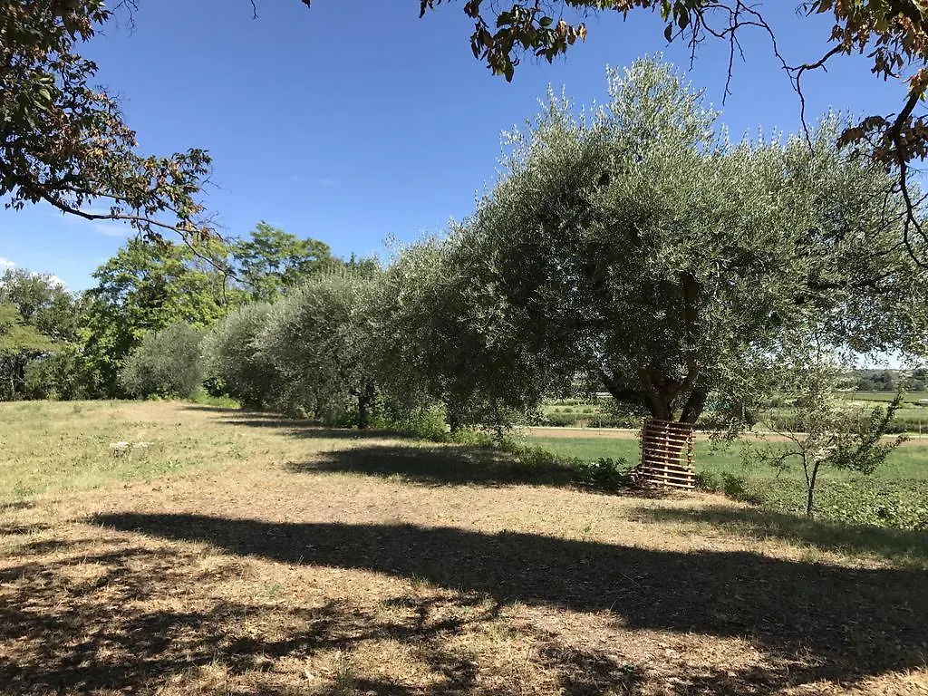 Villa Benciolini Colà